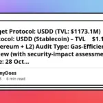 USDD Gas Optimization Audit: Enhancing L2 Efficiency, Mitigating Economic Vectors, and Slashing User Costs